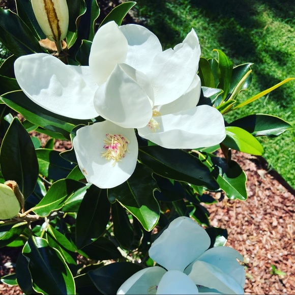 Meet your Posher, Kelly P - Picture 2 of 6